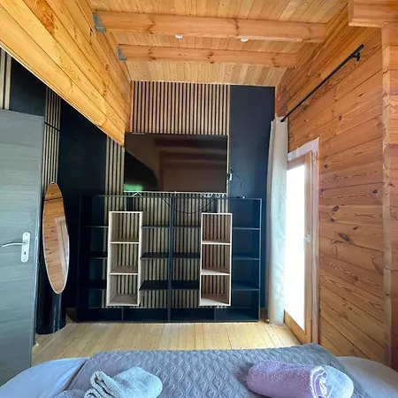 Petit Cosy - Saint-die-des-vosges T2 بيت للعطل Saint-Léonard