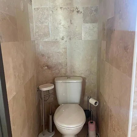 Petit Cosy - Saint-die-des-vosges T2 بيت للعطل